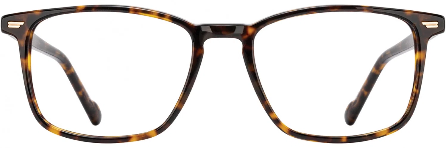 Scott Harris SH952 Eyeglasses - view 7